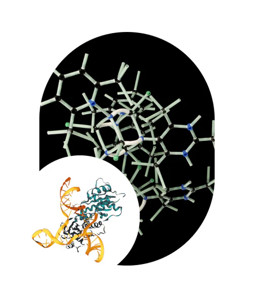 peptides_e0316484-0e3f-4acc-9801-535ad2a1e105