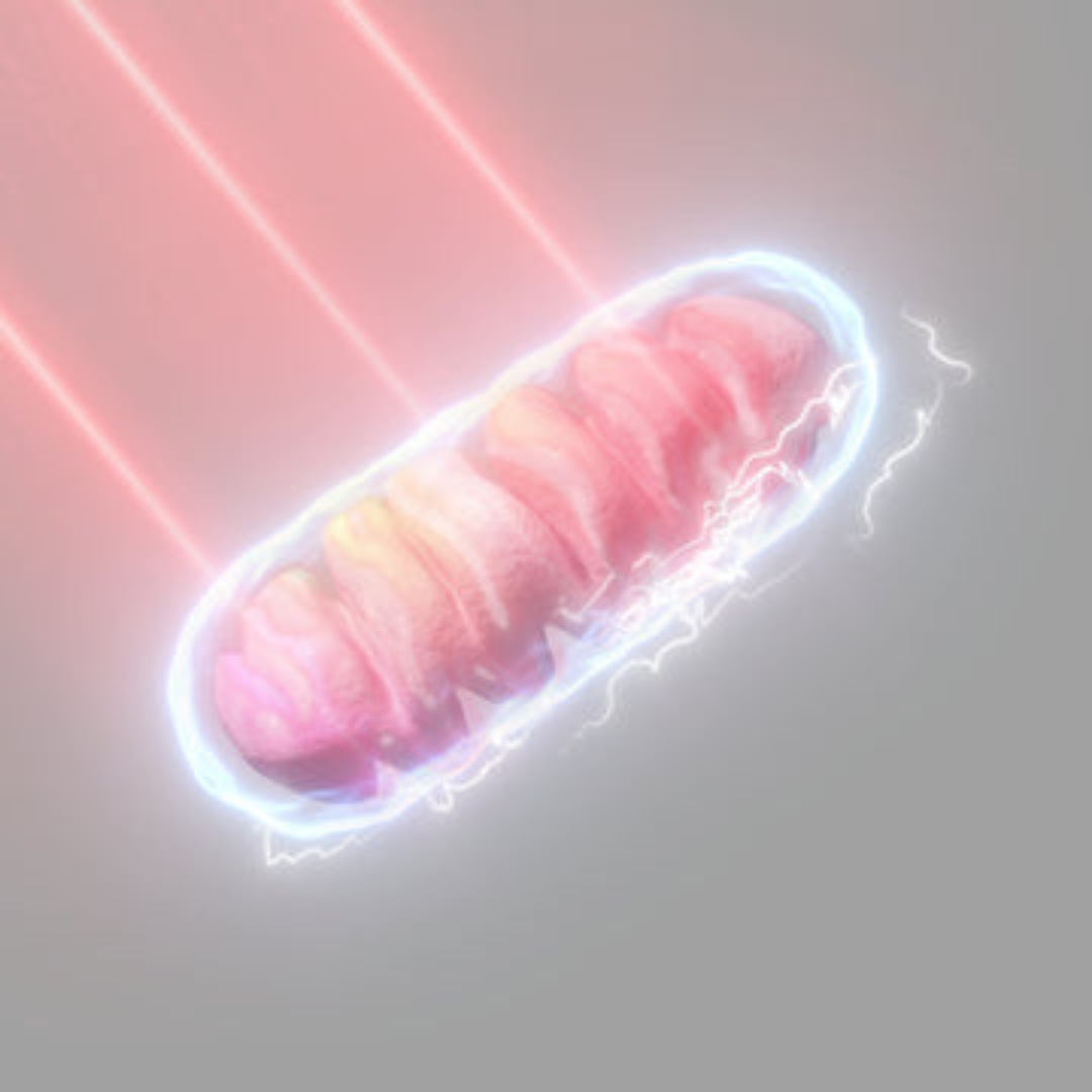 Untitled design (12)