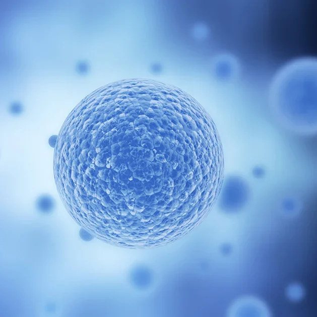 regenerative_medicine