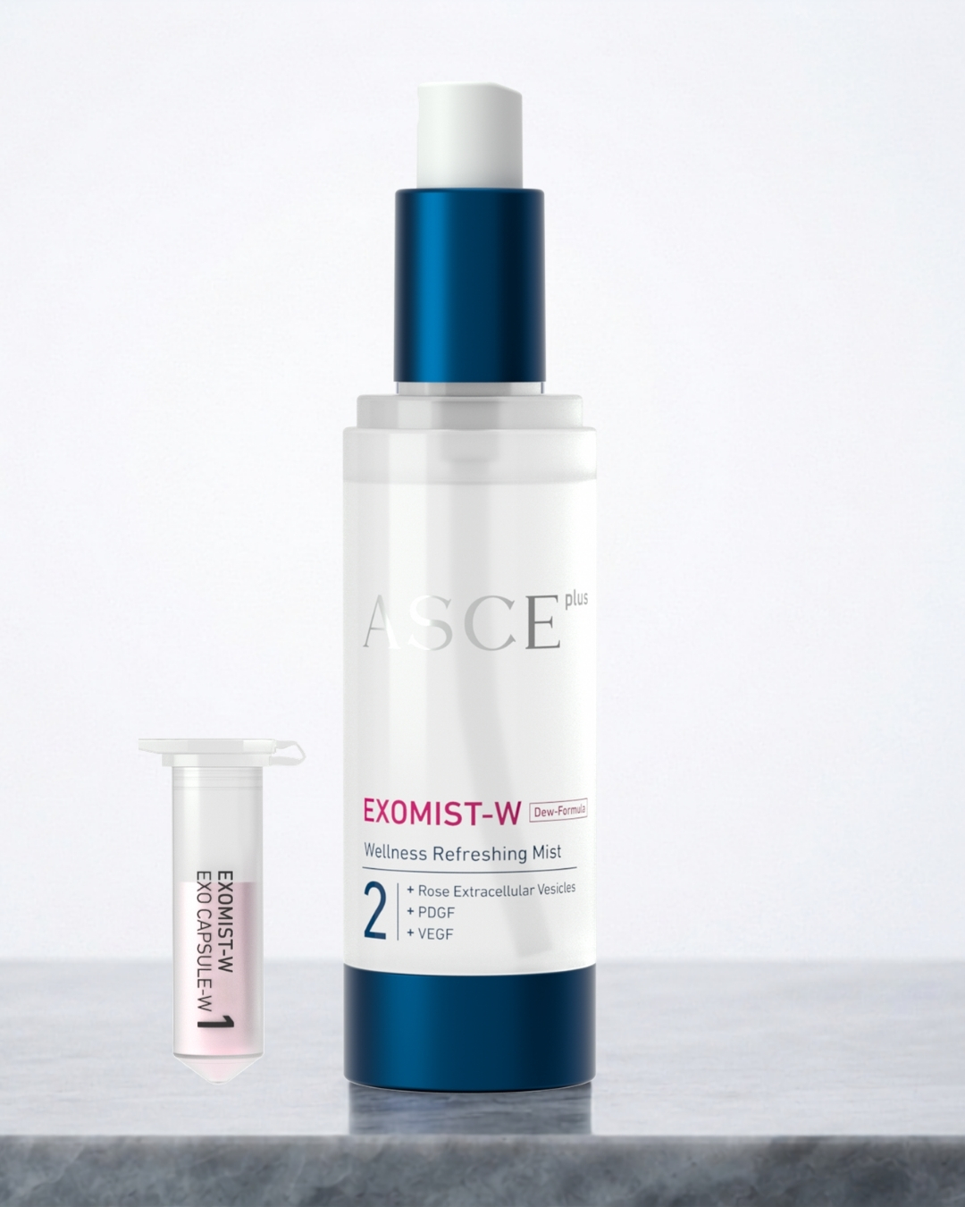 asce (5)